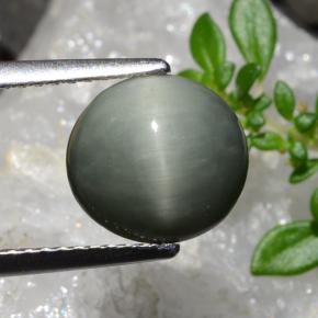 2.83克拉天然石英猫眼，椭圆形切割，不透明