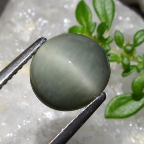 2.83克拉天然石英猫眼，椭圆形切割，不透明