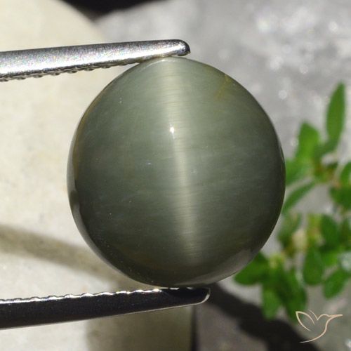 6.23ct 天然 暖绿 石英猫眼, 椭圆形, 不透明