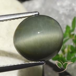 6.23克拉天然石英猫眼，椭圆形，不透明