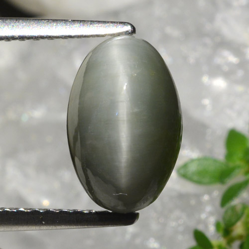 2.99克拉天然石英猫眼，椭圆形切割，不透明