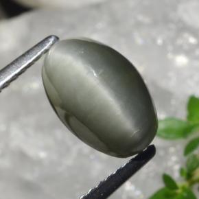 2.99克拉天然石英猫眼，椭圆形切割，不透明