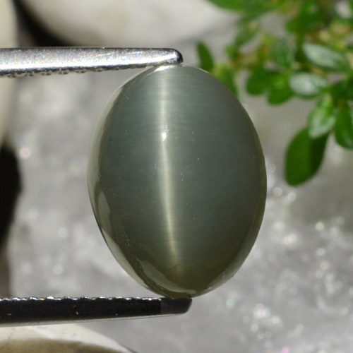 4.96克拉天然石英猫眼，椭圆形切割，不透明