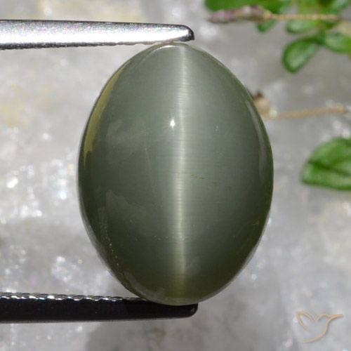 6.37ct 天然 绿灰色 石英猫眼, 椭圆形, 不透明