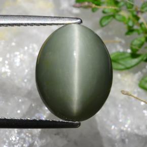 6.74克拉天然石英猫眼，椭圆形切割，不透明