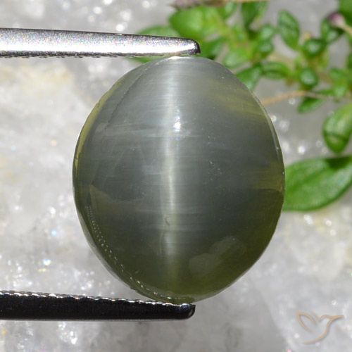 5.35ct 天然 绿灰色 石英猫眼, 椭圆形, 不透明