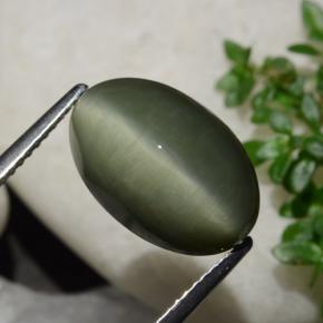 6.44克拉天然石英猫眼，椭圆形切割，不透明