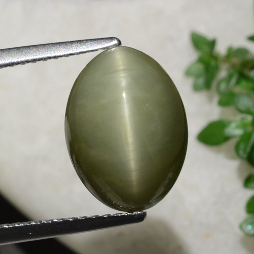6.21克拉天然石英猫眼，椭圆形切割，不透明