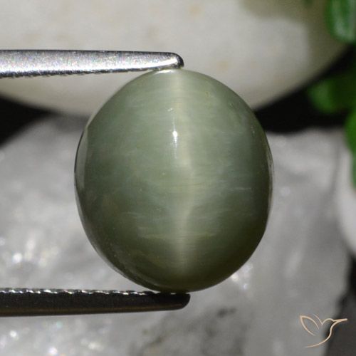 6.79ct 天然 大地绿 石英猫眼, 椭圆形, 不透明
