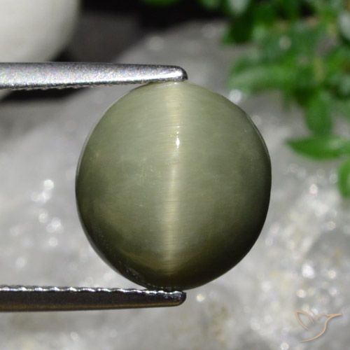 5.58ct 天然 军绿色 石英猫眼, 椭圆形, 不透明