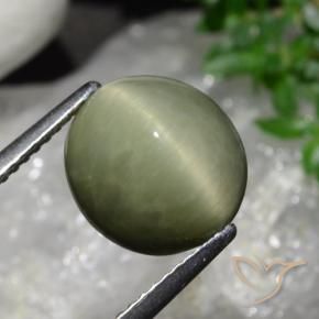 5.58克拉天然石英猫眼，椭圆形，不透明