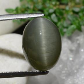 6.97克拉天然石英猫眼，椭圆形切割，不透明