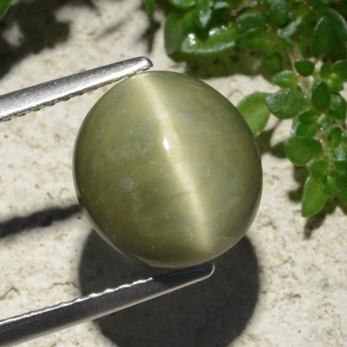 6.19克拉天然石英猫眼，椭圆形切割，不透明