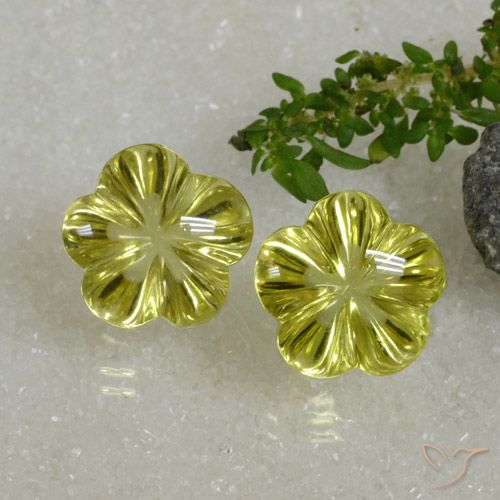 18.82ctw 天然 中黄色 石英, 花形切割, 透明