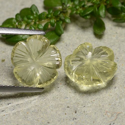5.58ctw 天然 中黄色 石英, 花形切割, 透明