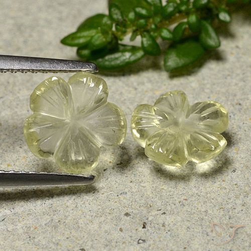 2.39ctw 天然 淡奶油黄色 石英, 花形切割, 透明