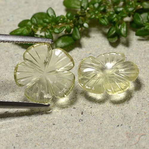 3.68ctw 天然 中黄色 石英, 花形切割, 透明
