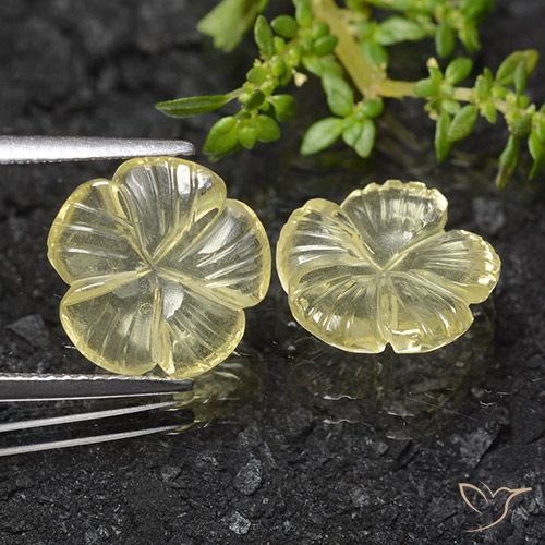 6.83ctw 天然 淡奶油黄色 石英, 花形切割, 透明