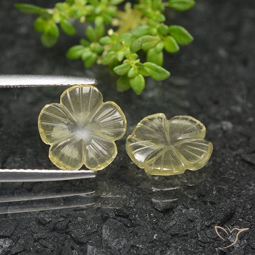 3.50ctw 天然 淡奶油黄色 石英, 花形切割, 透明