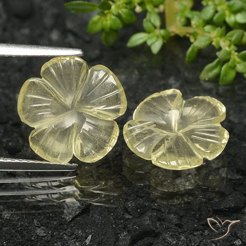 5.58ctw 天然 中黄色 石英, 花形切割, 透明