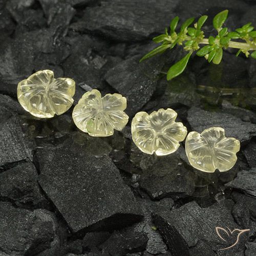 4.30ctw 天然 淡黄色 石英, 花形切割, 透明