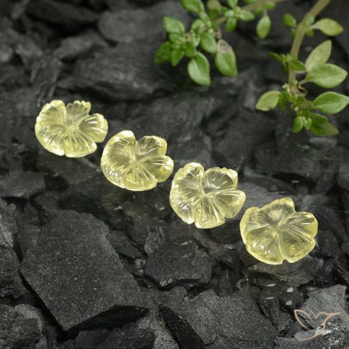 5.93ctw 天然 淡菠萝黄 石英, 花形切割, 透明