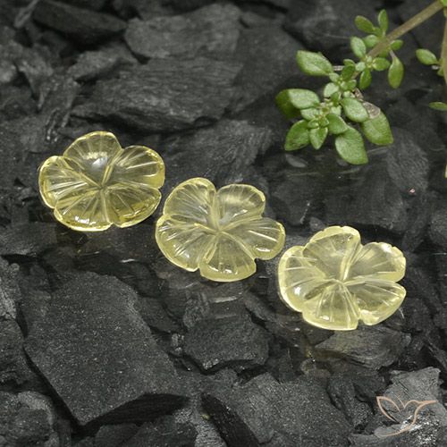 7.02ctw 天然 淡奶油黄色 石英, 花形切割, 透明