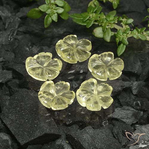 6.89ctw 天然 淡黄色 石英, 花形切割, 透明