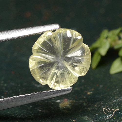 1.55ct 天然 中黄色 石英, 花形切割, 透明
