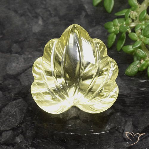 8.67ct 天然 拉古纳黄 石英, 花形切割, 透明