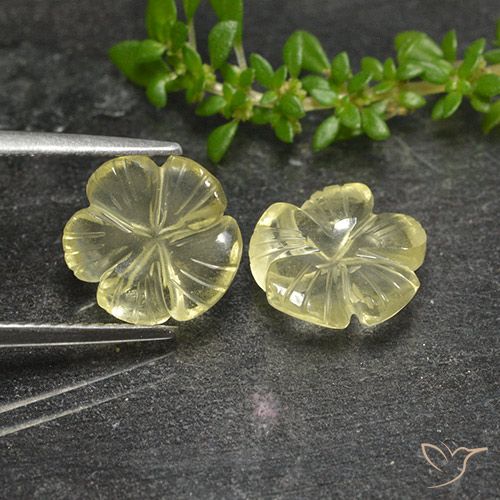 3.99ctw 天然 淡黄色 石英, 花形切割, 透明