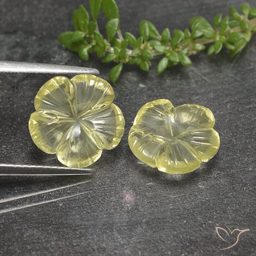 5.52ctw 天然 淡黄色 石英, 花形切割, 透明