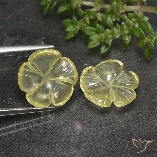 7.52ctw 天然 中浅黄色 石英, 花形切割, 透明