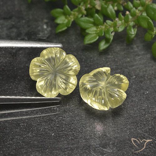 3.99ctw 天然 淡黄色 石英, 花形切割, 透明