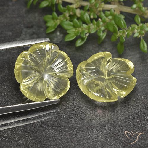 11.79ctw 天然 淡奶油黄色 石英, 花形切割, 透明