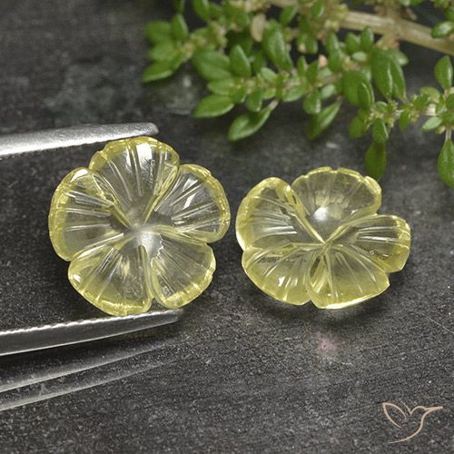 6.24ctw 天然 柠檬黄 石英, 花形切割, 透明