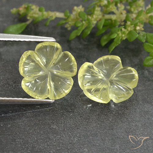4.19ctw 天然 淡黄色 石英, 花形切割, 透明