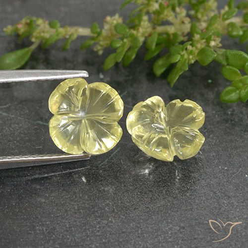 3.26ctw 天然 淡黄色 石英, 花形切割, 透明