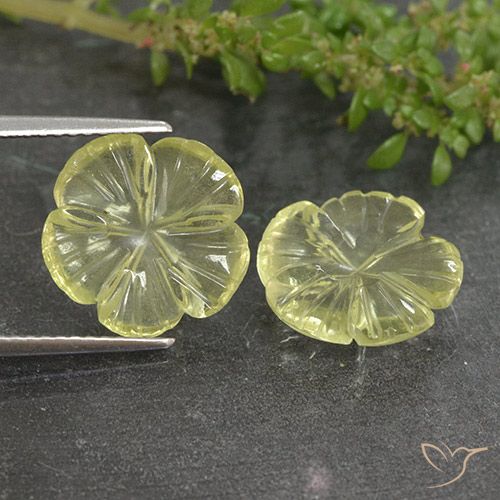 6.37ctw 天然 淡黄色 石英, 花形切割, 透明