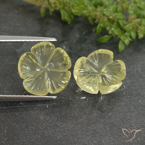 6.26ctw 天然 淡黄色 石英, 花形切割, 透明