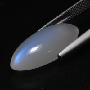 5.97克拉天然白色彩虹月光石，透明，19.2×9毫米，透明/半透明