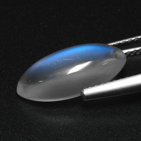 3.91克拉天然白色彩虹月光石，透明，15.3×7.1毫米，透明/半透明