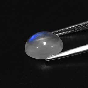 2.78克拉天然白色彩虹月光石，椭圆形切割，9.9×8毫米，透明