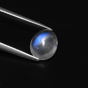 1.57克拉天然白色彩虹月光石，椭圆形切割，8.8×7.1毫米，透明