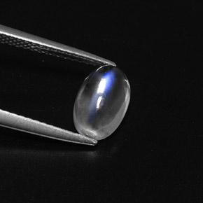 1.50克拉天然白色彩虹月光石，椭圆形切割，9.3×5.8毫米，透明