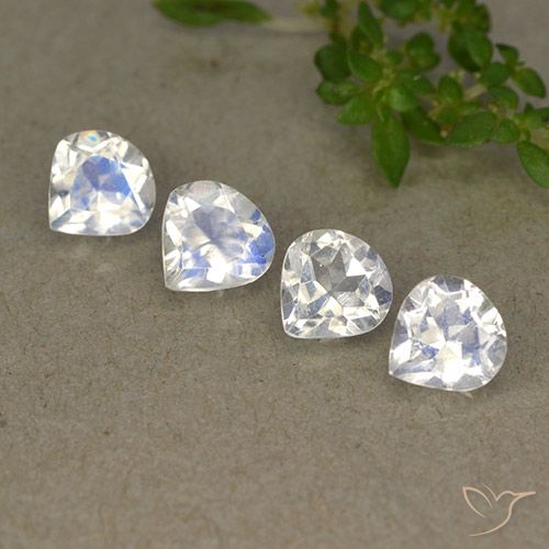 1.61天然白色彩虹月光石，梨形，5.1×4.9毫米，透明