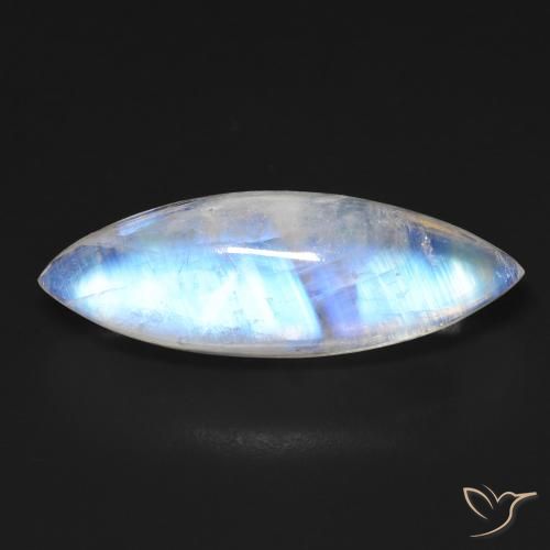 12.50ct 天然 蓝白色 彩虹月长石, 榄尖形, 透明