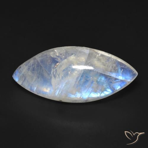 12.95ct 天然 蓝白色 彩虹月长石, 榄尖形, 透明