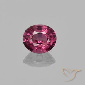 1.43ct 天然 中紫色 红榴石石榴石, 椭圆形, VS