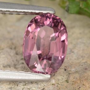 1.42克拉天然红榴石石榴石，椭圆形切割，VVS-VS